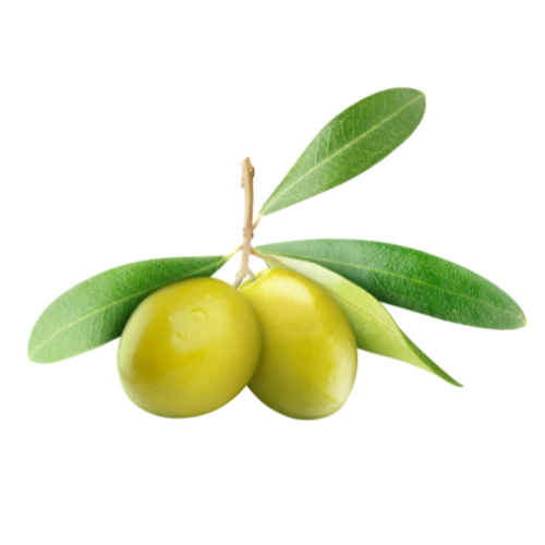 Fruit