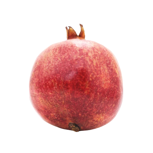 Fruit