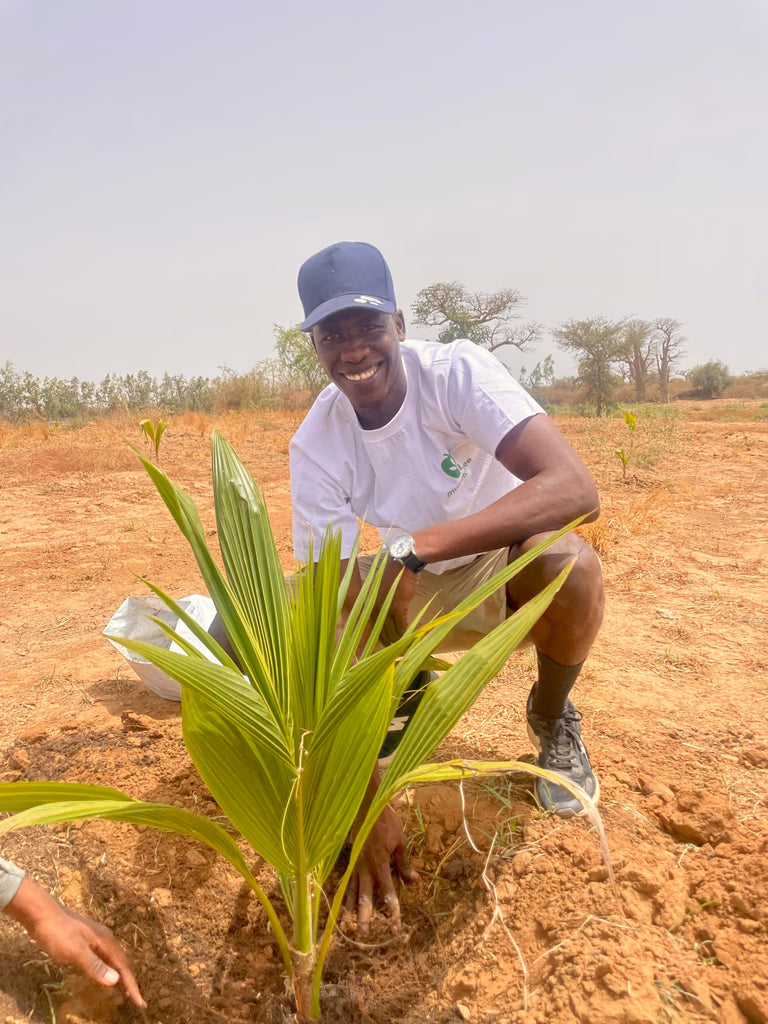 Tree planting process step 3