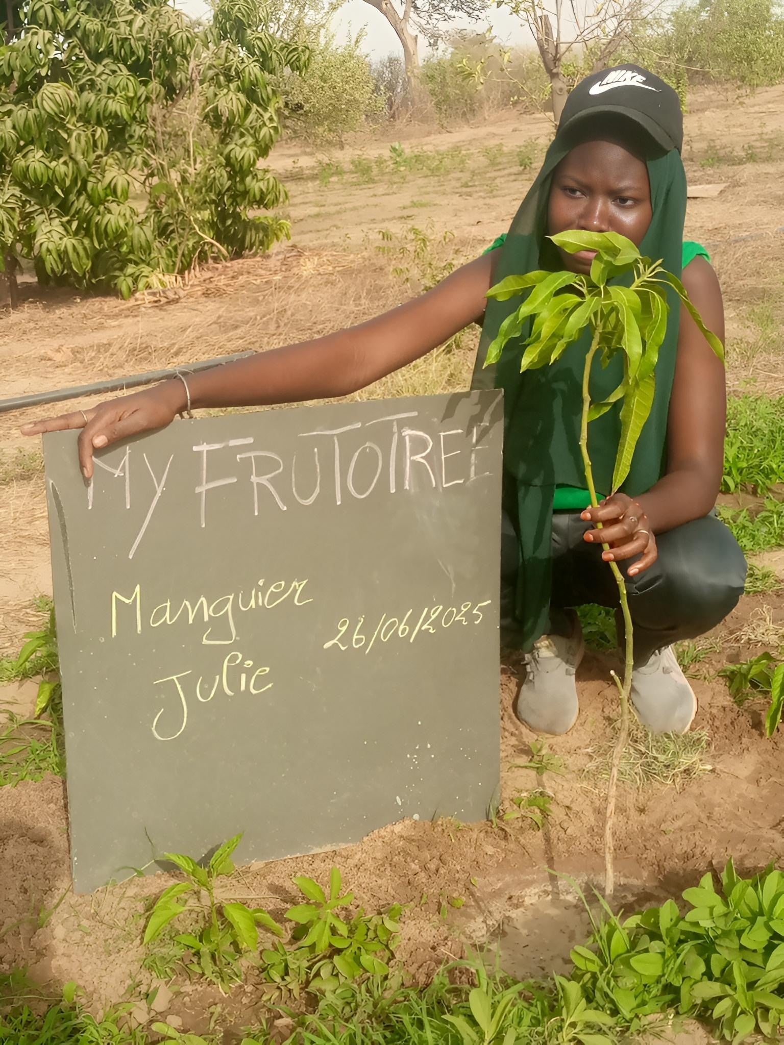 Tree protecting the earth
